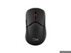 Mouse																																																																																																																																																																																																																																																																																																																																																																																																																																																																																																																																																																																																																																																																																																																																																																																																																																																																																																																																																																																																																																					 –  – A2PB3AA