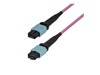 Patch Cables –  – OM4MTP12BOFNP10M
