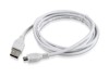 Cables USB –  – CCP-mUSB2-AMBM-6-W