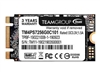 Solid-State-Laufwerke –  – TM4PS7256G0C101