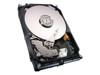 Internal Hard Drives –  – ST3000DM001