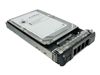 Internal Hard Drives –  – AXD-PE800072SF6