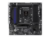 Motherboards (for Intel Processors) –  – B760M PG RIPTIDE