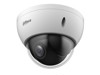 Turvakaamerad –  – SD22204DB-GC