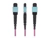 Patch Cables –  – OS2MTP24BOFNP7M
