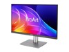 Computer Monitors –  – PA249CGV