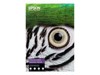 Papier grand format –  – C13S450283NQ