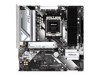 मदरबोर्ड (AMD प्रोसेसर्स के लिए) –  – A620M PRO RS