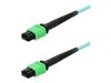 Crossover Cables –  – ADD-AMPOAMPO-2M5OM4LZ