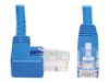 Patch Cables –  – N204-020-BL-RA