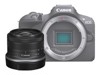 Mirrorless System Digital Cameras –  – R100KIS