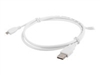 USB电缆 –  – CA-USBM-10CC-0010-W