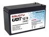 UPS Batterye –  – 013BS000002