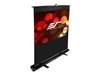 Projector Screen –  – F100NWH