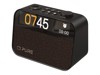 Portable Radios –  – 30101