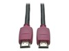 Specific Cables –  – P569-010-CERT