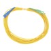 Otros –  – LP-FO-SCU-SCA-05