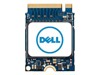 SSD, Solid State Drives –  – SNP223G43/512G