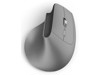 Mice –  – 00173095