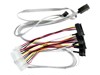SAS-Kabels –  – 2280100-R