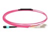 Patch Cables –  – LVO230502-MTP