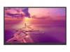 Touchscreen Large Format Displays –  – AVE-5550