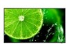 LCD/LED Large Format Displays –  – 60006113