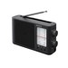 Nešiojami radijai																								 –  – ICF506.CED