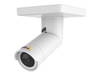 Wired IP Cameras –  – 0924-001