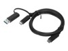 USB-Kabel –  – USB3.1CCA1