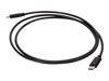 Specific Cables –  – USBC2LGTTPE1M