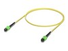 Patch Cables –  – UACC-OFC-SA-MPMP-1M-10