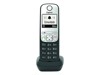 Wireless Telephones –  – S30852-H2870-R601