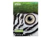 Large Format Paper –  – C13S450275NQ