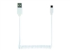 USB Kabels –  – CC-mUSB2C-AMBM-6-W