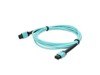 Patch Cables –  – ADD-24FMPOMPO-2M5OM4S
