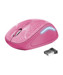 Souris –  – TRU22336