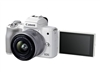 Mirrorless System Digital Cameras –  – 4729C005