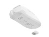 Mice –  – NMG-2380