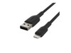 Spezifische Kabel –  – CAA001BT0MBK