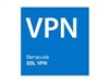 Programas de VPN –  – BVSV180A-V