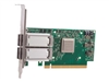 PCI-E Network Adapters –  – 4XC7A08249