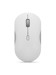 Mice –  – GY51S61907