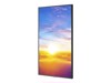 Touchscreen Large Format Displays –  – P495-PT