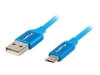 USB Cables –  – CA-USBM-20CU-0018-BL