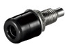 Audio Cables –  – 11731