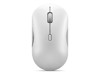 Souris –  – GY51S61901