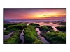 Digital Signage Display –  – QB55B