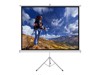 Projector Screens –  – ER T60 1:1