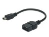 USB kabeļi –  – AK-300310-002-S